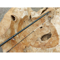 Gator Perch Baitcaster 228cm (5-30g) Baarshengel