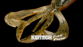 Keitech Crazy Flapper 3,6 inch (9,1cm)