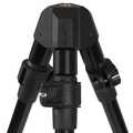 Avid PRO-Tect Deluxe Weeg Tripod