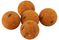 Ultimate Baits Boilies 20mm 1kg - Scopex Cream