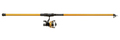 Mitchell Catch Pro Tele Light Combo 3,30m (20-60g)