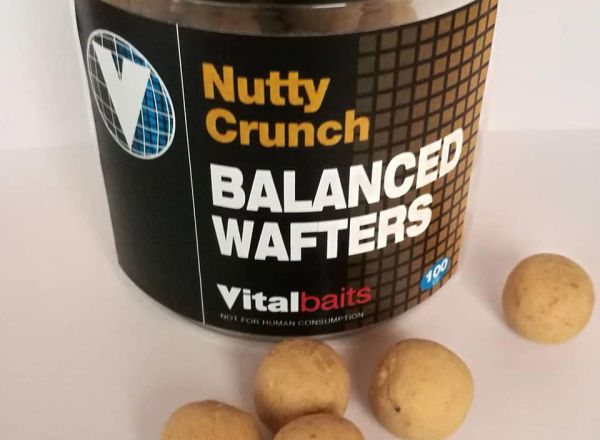 Vital Baits Nutty Crunch Wafters