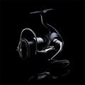 Daiwa 19 Certate-G LT Spinmolen