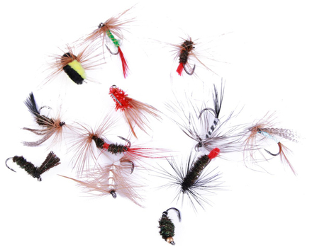 Ultimate Fly Selection (12 stuks)