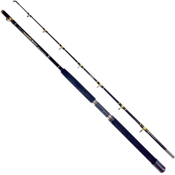 Fladen Warbird Boat Combo 1,95m (15-30lb)