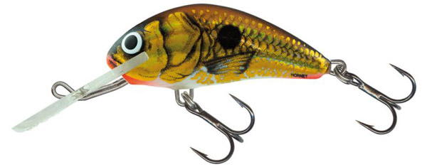 Salmo Hornet 5cm Set + Tacklebox