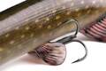 Fox Rage Ultra-Realistic Pike Replicant Swimbait 10cm (12g)