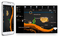 Deeper Smart Sonar PRO Fishfinder