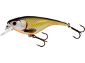 Westin BabyBite SR Crankbait 6,5cm - Official Roach