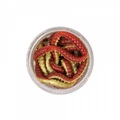 Berkley Power Honey Worms Imitatie Aas (2,5cm) (55 stuks)