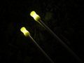 Holdcarp Brilliant LED SnagEars (keuze uit meerdere kleuren)