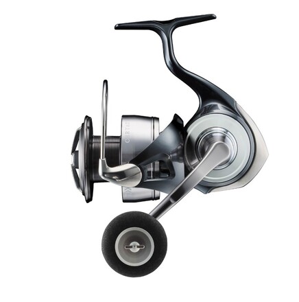 Daiwa 24 Certate Spinmolen