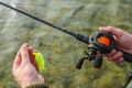 Ultimate Cast Pro 2.0 Baitcaster Reel