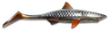 Shark Shad 20cm (70g) - Real Roach