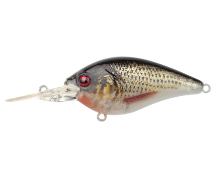 Spro Ikiru Crank Long Lip Roach 6cm (14g)