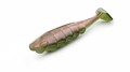 Nays Predator Shad 5'' 12.7cm (17g) (5 Stuks) - C-03