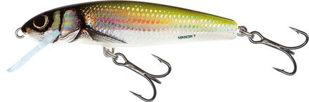 Salmo Minnow Floating 'Holo Bleak' 6cm (4g)