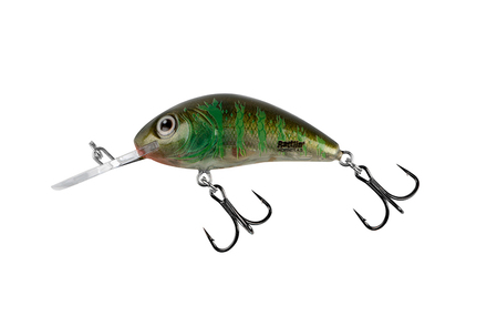 Salmo Rattlin' Hornet 3,5cm 3,1g Floating 1,0-1,8m Green Gill Clear