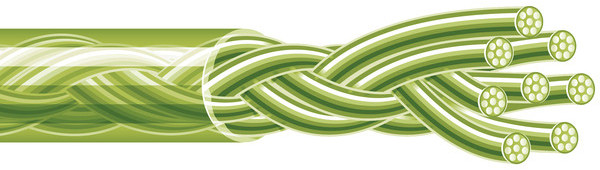 Spiderwire Stealth Smooth 8 Moss Green Braid 300m