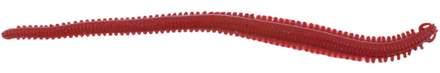 Berkley Gulp! Alive Saltwater Sandworm Bloody 15cm (28 stuks)