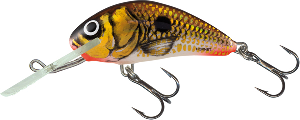 Salmo Hornet 5-6cm Sinking - UV Gold Shiner