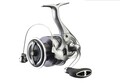 Daiwa 23 Exceler Spinmolen