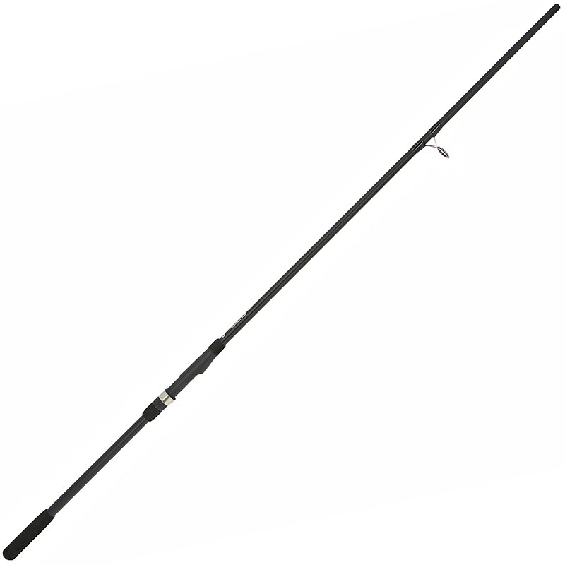 NGT XPR Catfish Rod 3,00m (200g)