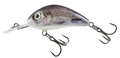 Salmo Rattlin Hornet 3,5cm (3g) - Classic White Fish