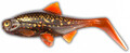 Ola Lures Hooligan Roach Jr 15cm - MotorPike