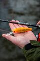 Ultimate Slimstick Twitchbait 9cm (13g) - Orange Juice