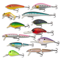 Catchgear Lure Set Hardbait Kunstaas (12 Stuks) - Set - C