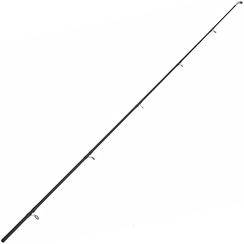 NGT XPR Catfish Rod 3,00m (200g)