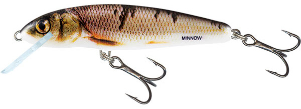 Salmo Minnow 6cm Floating - Wounded Dace