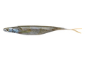 Deps Sakamata Real Print Shad 15.2cm (3 stuks) - #03 Pearl Wakasagi