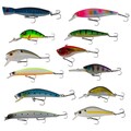 Catchgear Hard Lure Set (12 Stuks) - Set 1