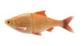 Savage Gear 4D Line Thru Roach Swimbait, Limited Edition! - Albino Roach