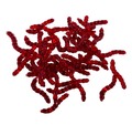 Ultimate Baits Bloodworms Transparant Red Imitatie Aas (50pcs)