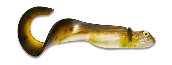 Nettel Juvenile 19cm, 25gr, 2-pack Natural Eelpout