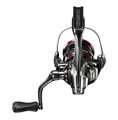 Shimano Vanford Spinmolen