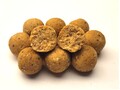 MTC Baits NutCase Boilies (5kg)