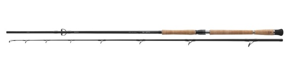 Daiwa DW Pro Staff CF Meervalhengel 2.60m (80-240g)