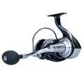 DAIWA 21 Certate SW Zeevis Molen