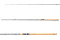 Daiwa Exceler Traditional Zeeforel Spinhengel 3.15m (15-40g)