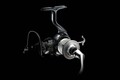 Daiwa 24 Certate Spinmolen